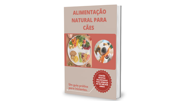 Alimentação Natural para Cães: Guia Completo com Passo a Passo Simples e Receitas Saudáveis