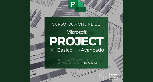 Curso de MS Project