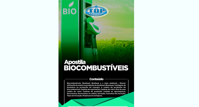 Ebook: Biocombustíveis