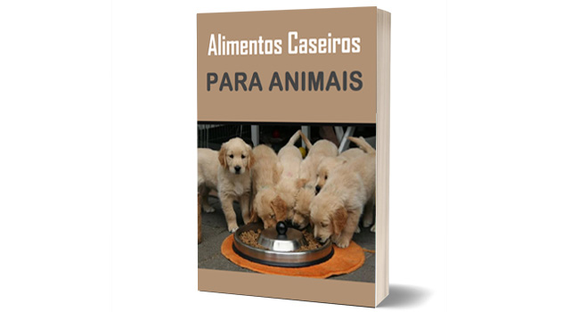 Alimentos Caseiros Para Animais