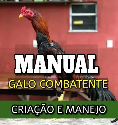 Galo combatente - Manual criação e manejo