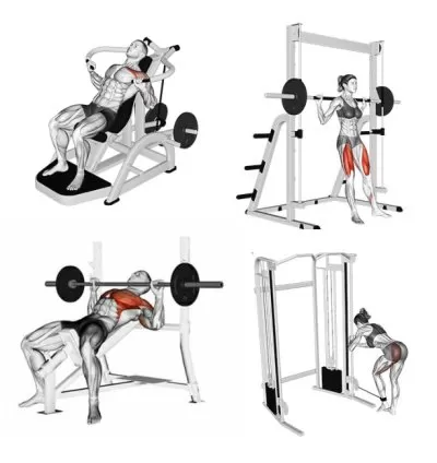 +100 Planilhas de Treino e Vídeos 1