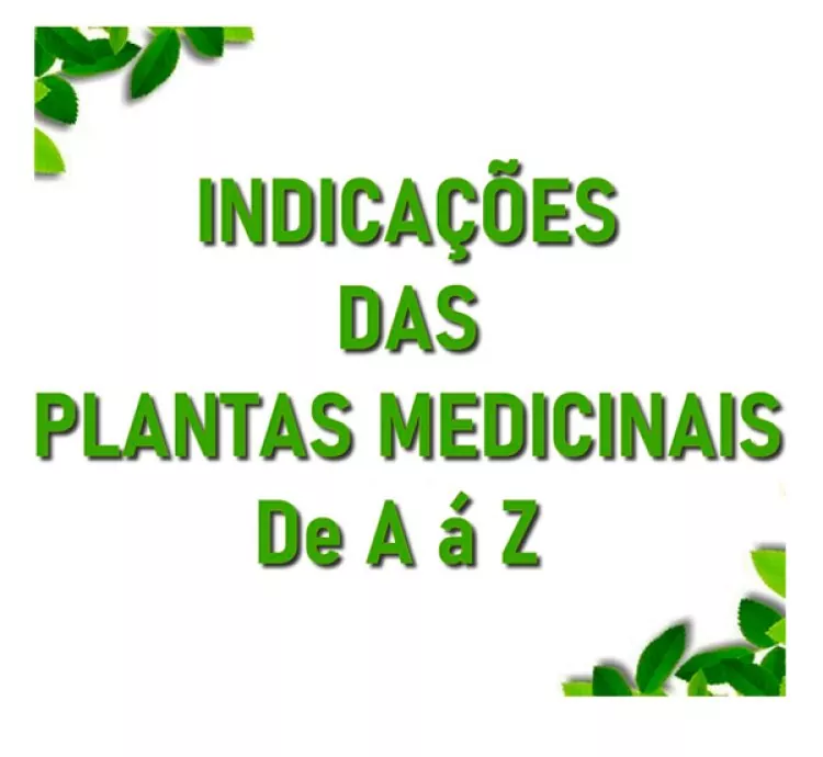 Indicações sobre 380 Plantas Medicinais de A á Z