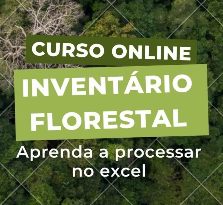 Curso Aprenda Processar Inventário Florestal Utilizando o Excel + 1 PLANILHA
