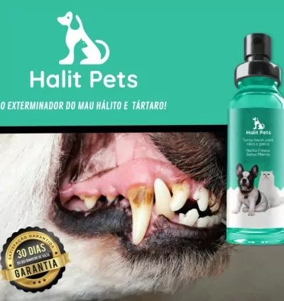 Halit Pets