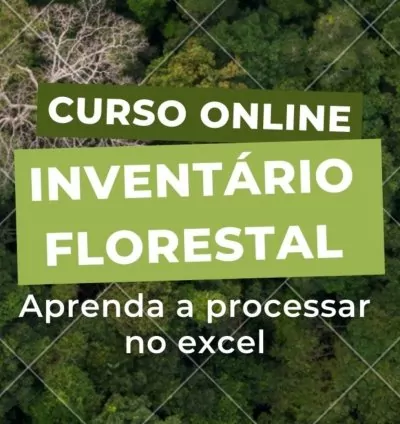Curso Aprenda Processar Inventário Florestal Utilizando o Excel + 1 PLANILHA