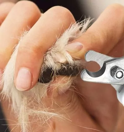 Alicate Cortador de Unhas para Pets – 13cm | Ideal para Cães e Gatos de Todos os Tamanhos