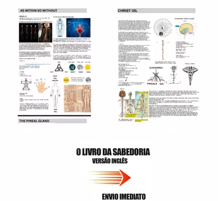O Livro da Sabedoria - Guia Completo dos Símbolos Antigos (PDF em Inglês)