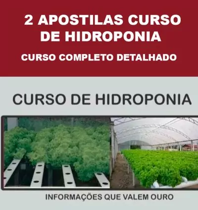 Curso de Hidroponia em PDF – Apostila Completa!