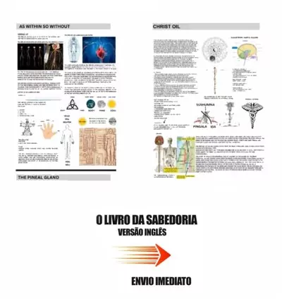 O Livro da Sabedoria - Guia Completo dos Símbolos Antigos (PDF em Inglês)