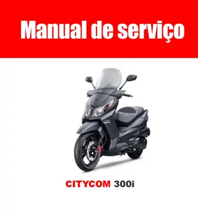 Manual de Serviço CITYCOM 300i – PDF Completo e em Português 1