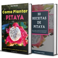 Como Plantar Pitaya