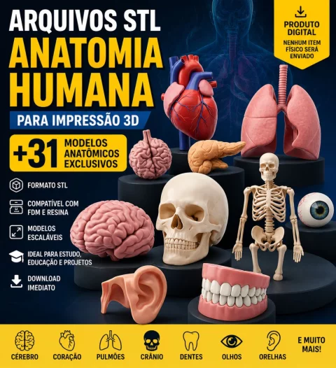 Pack STL de anatomia humana Realista PARA IMPRESSÃO 3D
