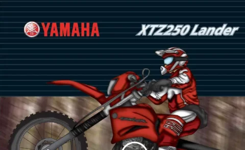 Manual de Serviços XTZ 250 LANDER -PDF 1