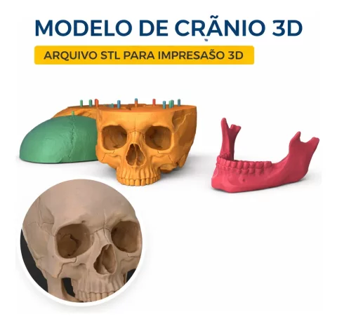 Modelo de Crânio Humano 3D STL em Alta Definição para Impressão 3D