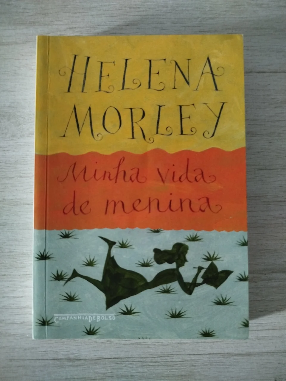 Kit de Livros Companhia de Bolso (4 Livros)