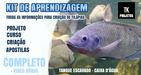 Projeto Para Criar Tilápias Em Caixa D'água e Escavado Completo