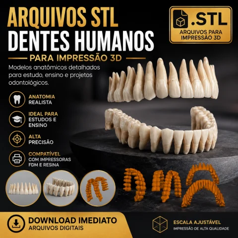 Arquivos STL Dentes Humanos para Impressão 3D
