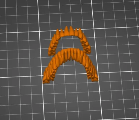 Arquivos STL Dentes Humanos para Impressão 3D