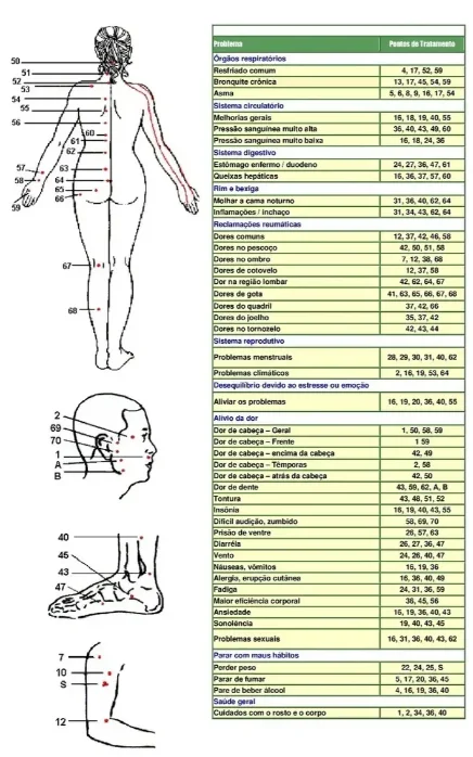 Manual Caneta Acupuntura Em Português Pdf + Mapa De Pontos